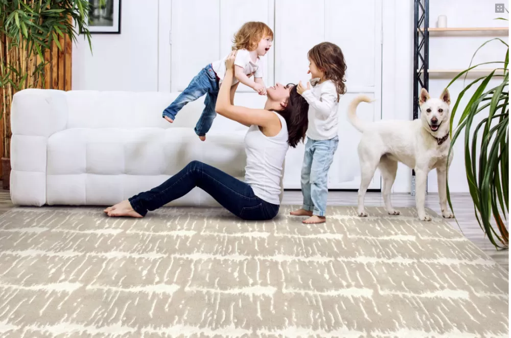 San Vito Chantilly Lace indoor/outdoor carpet in situ