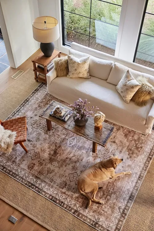 dog on rug layered on sisal