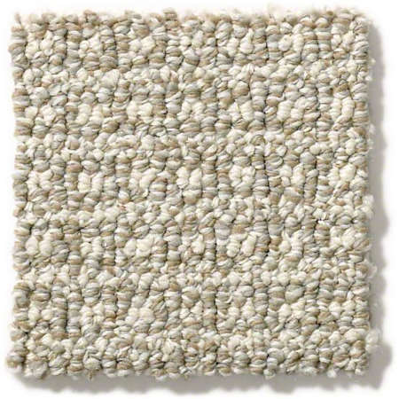Stain resistant carpet Fetch