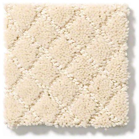 Stain resistant carpet Pawnache