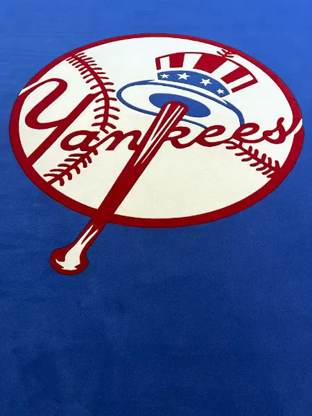 NY Yankees logo at Steinbrenner Field