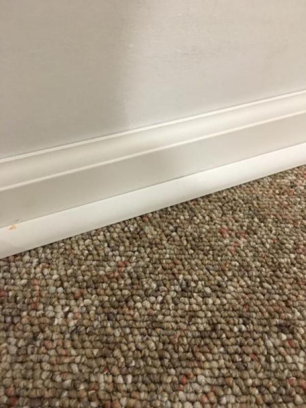 Photo of shoe molding over carpet.